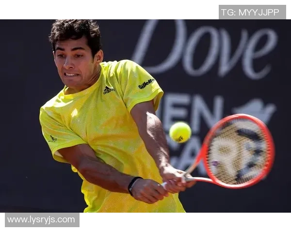 加林足球传奇：那些闪耀绿茵场的加林明星们