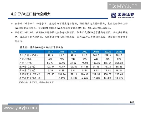 北京羽毛球队技术分析与战术研究的深度探讨与未来发展方向
